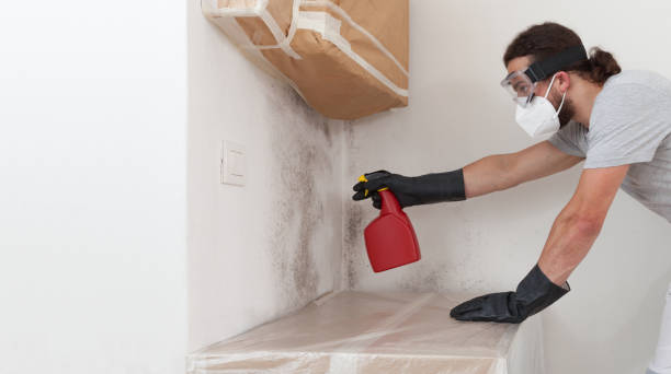 Professional Attic Mold Remediation technician working in Franklin, PA