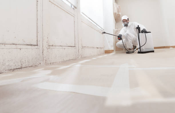24/7 Emergency Attic Mold Remediation experts in Franklin, PA